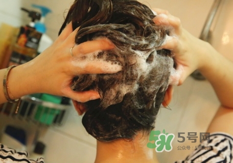 hair recipe水果洗發(fā)水怎么樣？hair recipe洗發(fā)水哪款好用
