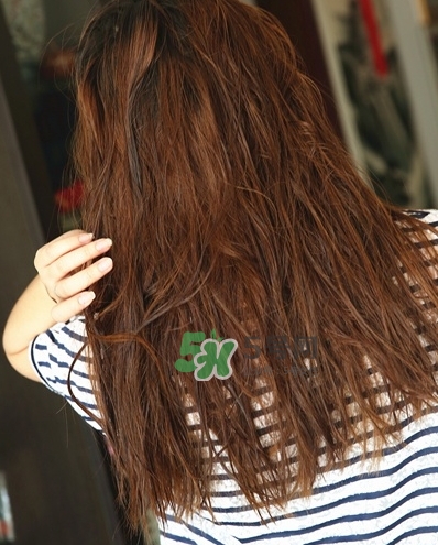 hair recipe水果洗發(fā)水怎么樣？hair recipe洗發(fā)水哪款好用