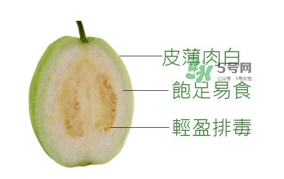 芭樂是什么季節(jié)的水果？芭樂什么時候吃最好