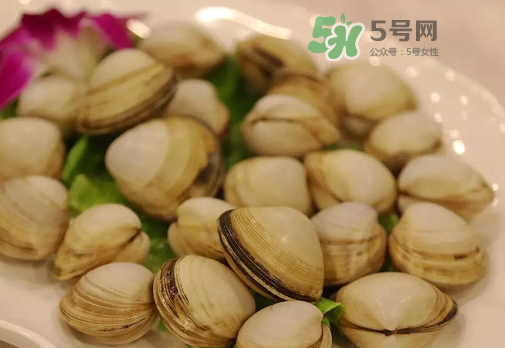 花蛤可以放冰箱冷凍嗎？花蛤放冰箱保鮮能吃嗎？