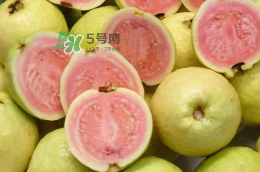 芭樂能和酸奶一起吃嗎？酸奶可以和芭樂一起吃嗎
