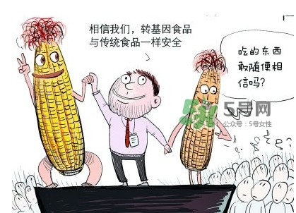 雜交水稻是不是轉(zhuǎn)基因？轉(zhuǎn)基因食品有哪些？