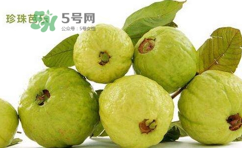 芭樂是什么季節(jié)的水果？芭樂什么時候吃最好