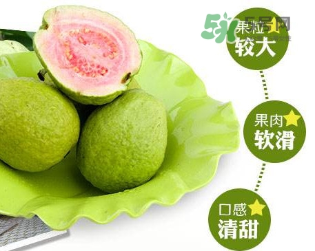 芭樂怎么挑選？如何挑選紅心芭樂