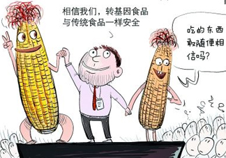 雜交水稻是不是轉(zhuǎn)基因？轉(zhuǎn)基因食品有哪些？