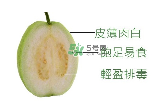 芭樂可以減肥嗎？吃芭樂可以喝牛奶嗎？