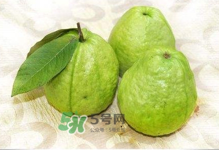 新鮮芭樂(lè)可以放幾天？芭樂(lè)能放多久