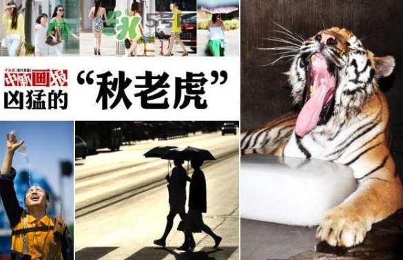 秋老虎有多熱？秋老虎一般是怎么算的？