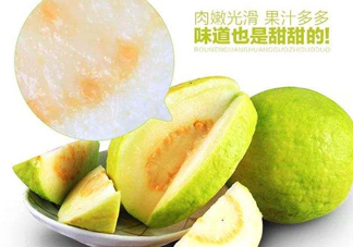 芭樂和番石榴有什么區(qū)別？芭樂和番石榴的區(qū)別