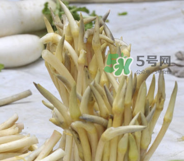 2017年藕帶什么時(shí)候下市？藕帶下市時(shí)間是幾月？
