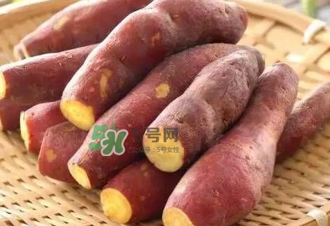 地瓜怎么做好吃？地瓜怎么吃好吃