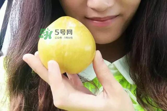 奈李是什么水果？奈李為什么會空心