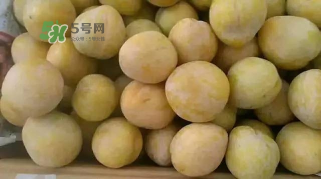 奈李是什么水果？奈李為什么會空心