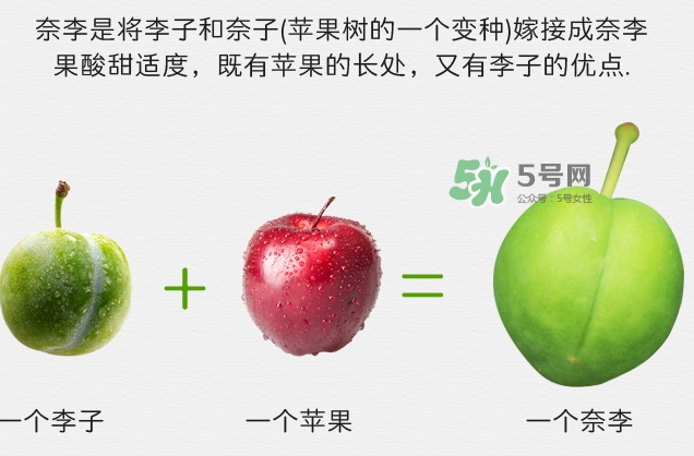 月經(jīng)期間可以吃奈李嗎？來月經(jīng)可以吃奈李嗎