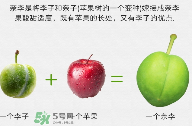 寶寶可以吃奈李嗎？寶寶多大可以吃奈李