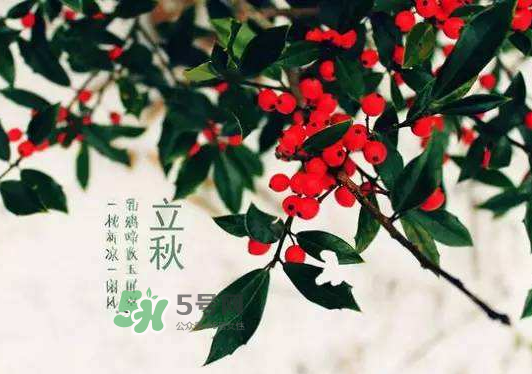 立秋為什么在處暑前？為什么立秋早過處暑？