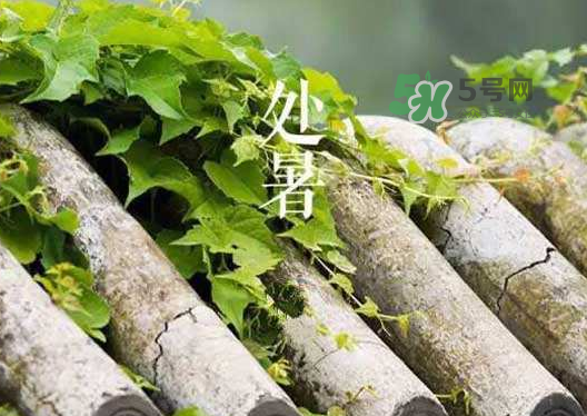 立秋為什么在處暑前？為什么立秋早過處暑？