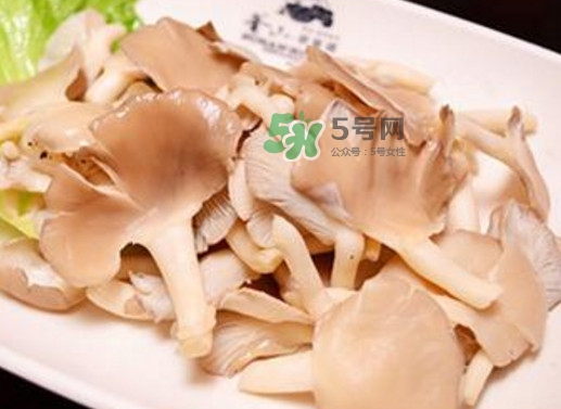 秀珍菇孕婦可以吃嗎？孕婦能吃秀珍菇嗎