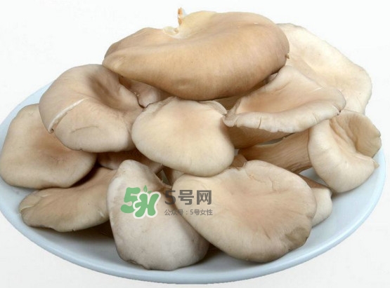 秀珍菇可以和海帶一起吃嗎？海帶能和秀珍菇一起吃嗎