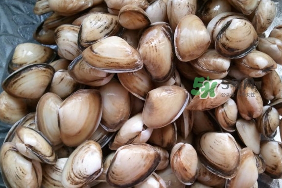 海瓜子多少錢(qián)一斤？西湖撈起的海瓜子能吃嗎