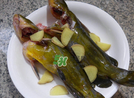 黃刺魚幾月份最好釣？黃刺魚怎么釣