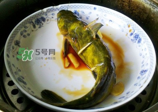 黃刺魚(yú)怎么殺？黃刺魚(yú)怎么處理