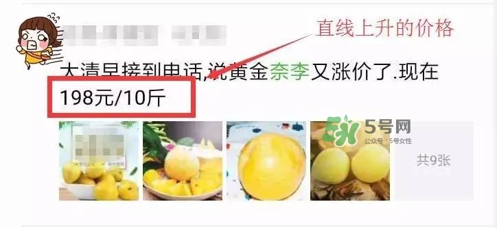 黃金奈李多少錢一斤？黃金奈李價格
