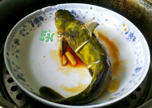 黃刺魚(yú)死了能吃嗎？黃刺魚(yú)不能與什么同食