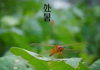 立秋為什么在處暑前？為什么立秋早過處暑？