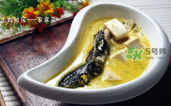黃刺魚(yú)怎么殺？黃刺魚(yú)怎么處理