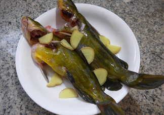 黃刺魚(yú)幾月份最好釣？黃刺魚(yú)怎么釣