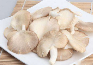 秀珍菇孕婦可以吃嗎？孕婦能吃秀珍菇嗎
