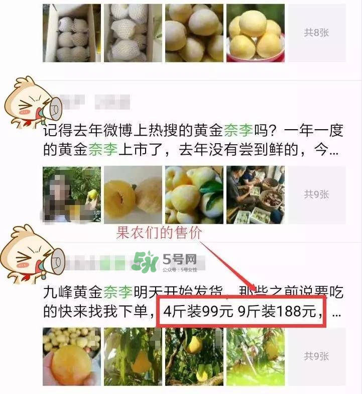 黃金奈李多少錢一斤？黃金奈李價格