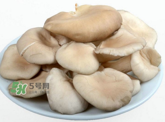 秀珍菇孕婦可以吃嗎？孕婦能吃秀珍菇嗎