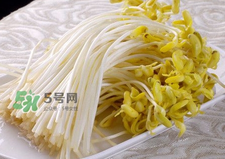 豆芽有綠葉還能吃嗎？豆芽有點(diǎn)爛了還能吃嗎