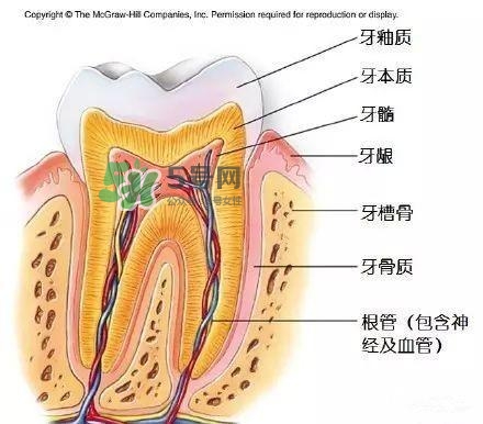 regenerate牙膏多少錢？regenerate牙膏專柜價格