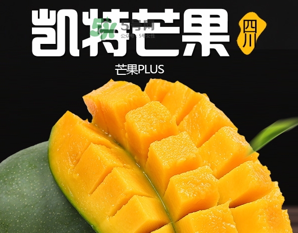 凱特芒果多少錢一斤？凱特芒果價格