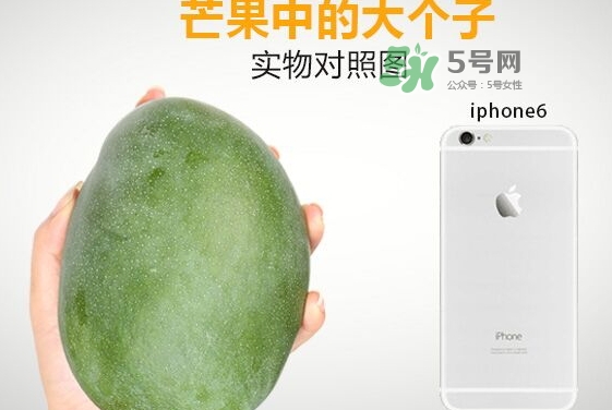 凱特芒果多少錢一斤？凱特芒果價格