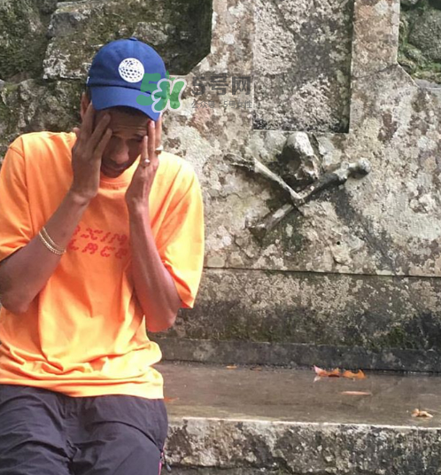 palace2017秋冬新款tri ferg tee什么樣_什么時(shí)候發(fā)售？