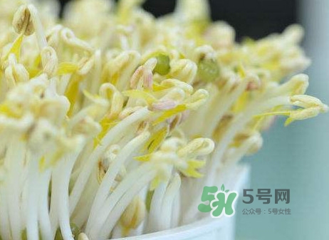 豆芽什么季節(jié)吃？豆芽什么時候有