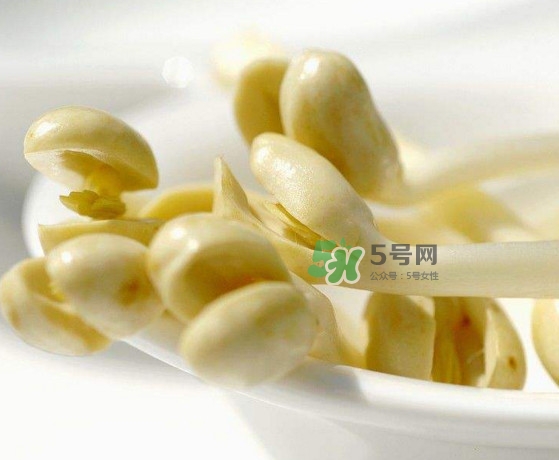 花生芽炒菜吃可以嗎？花生芽能吃嗎