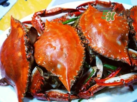 梭子蟹可以煮嗎？梭子蟹怎么煮？