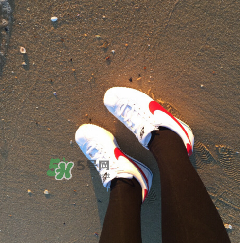 nike cortez jewel皮革版多少錢？耐克阿甘鞋皮革款價格