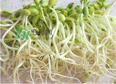 豆芽是發(fā)物嗎？豆芽能見陽光嗎