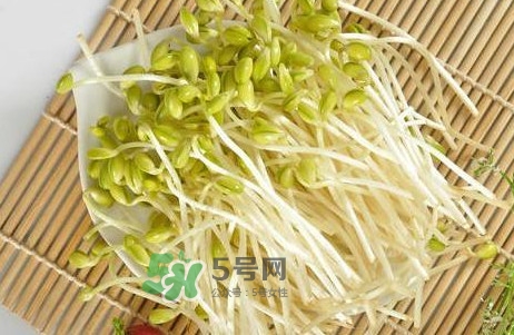 豆芽有根好還是無(wú)根好？無(wú)根豆芽與有根豆芽區(qū)別