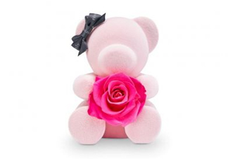roseonly熊多少錢？roseonly玫瑰熊多少錢？