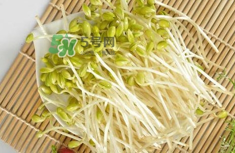 豆芽怎么保存？新鮮豆芽放冰箱能放幾天？