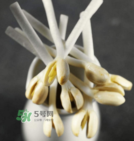花生芽炒菜吃可以嗎？花生芽能吃嗎