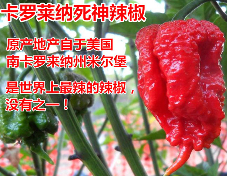 死神辣條多少錢一盒？死神辣條能吃嗎