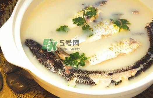 黃蜂魚怎么煮好吃？黃蜂魚燉湯孕婦可以喝嗎